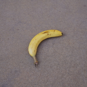 banana-instance_2-in_the_wild-location_1