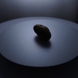 potato-instance_1-light_back-rotation_300_degrees